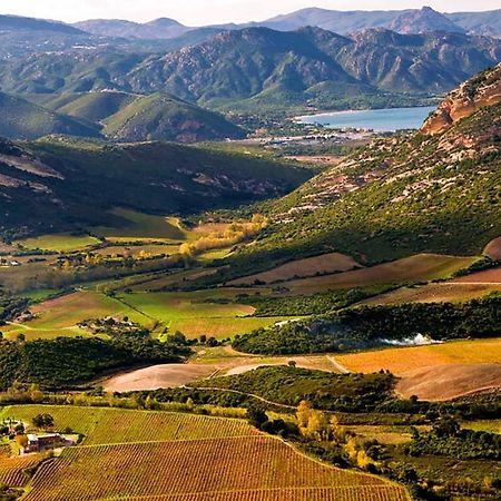 Domaine Ghjulia Διαμέρισμα Patrimonio Εξωτερικό φωτογραφία