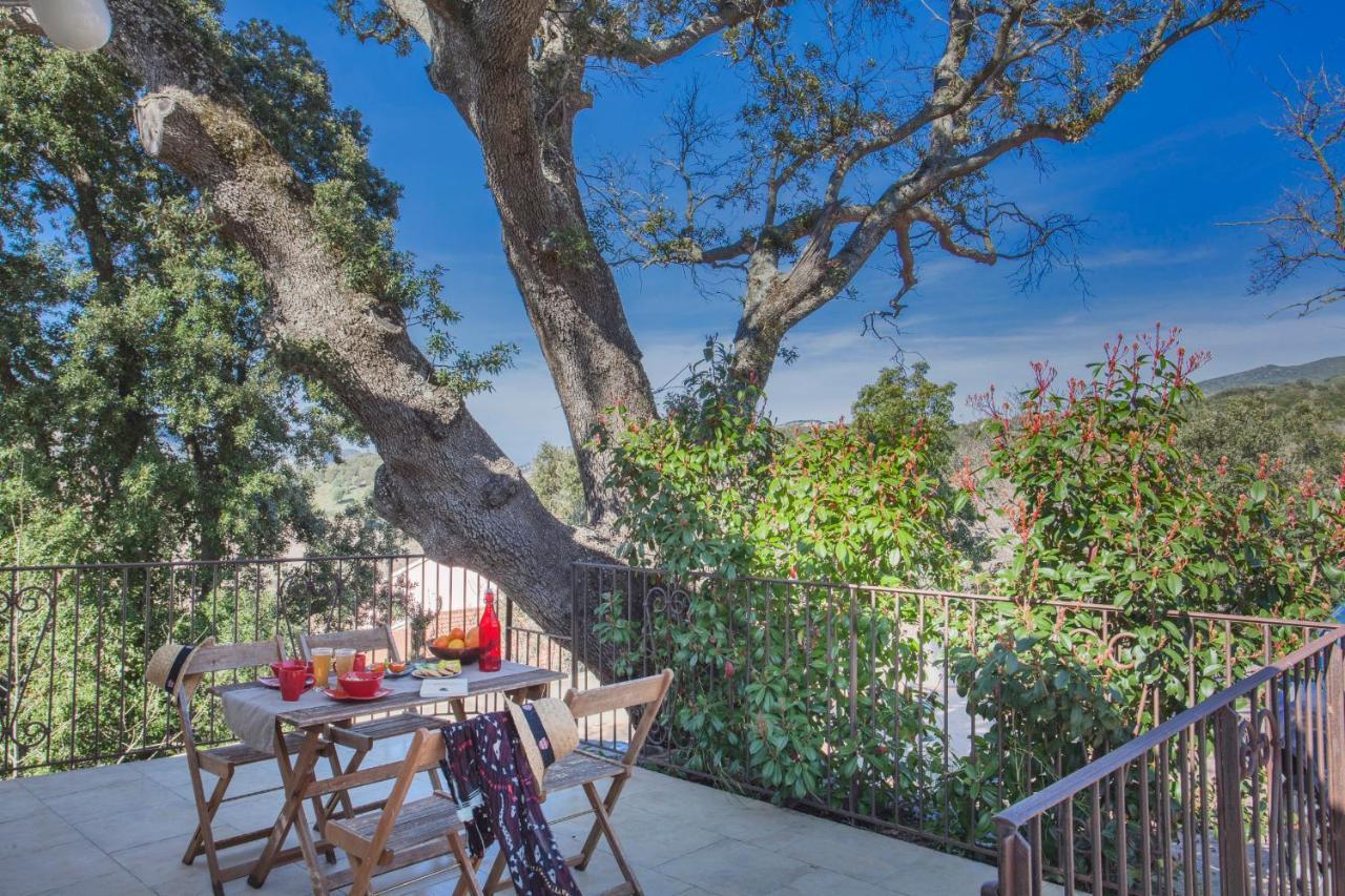 Domaine Ghjulia Διαμέρισμα Patrimonio Εξωτερικό φωτογραφία