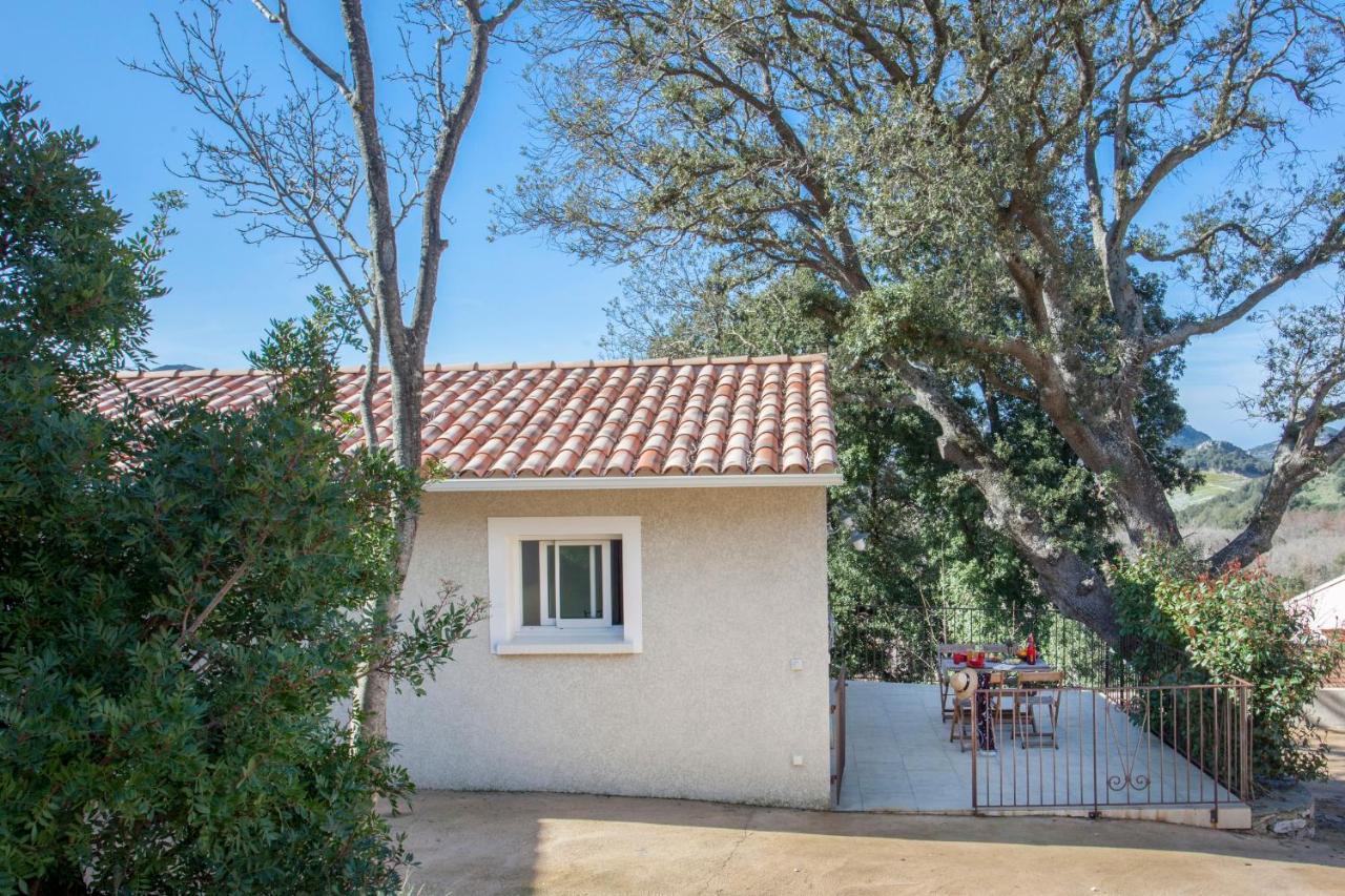 Domaine Ghjulia Διαμέρισμα Patrimonio Εξωτερικό φωτογραφία