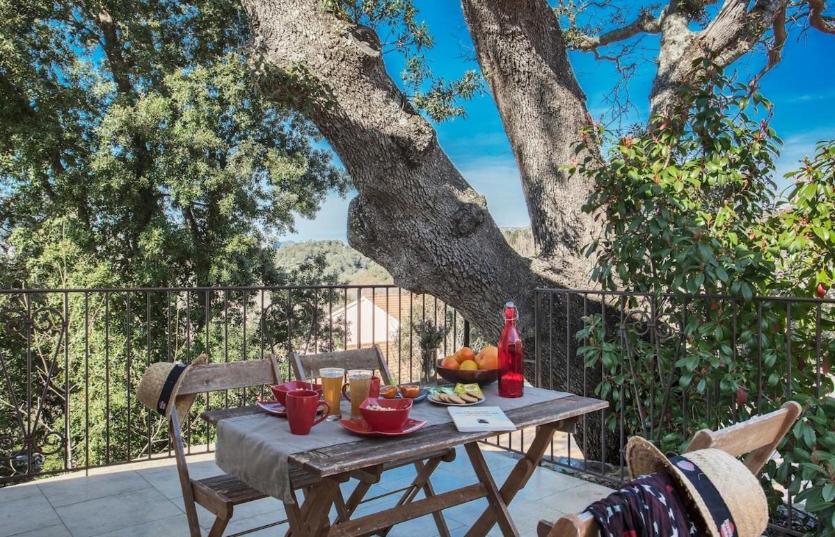 Domaine Ghjulia Διαμέρισμα Patrimonio Εξωτερικό φωτογραφία