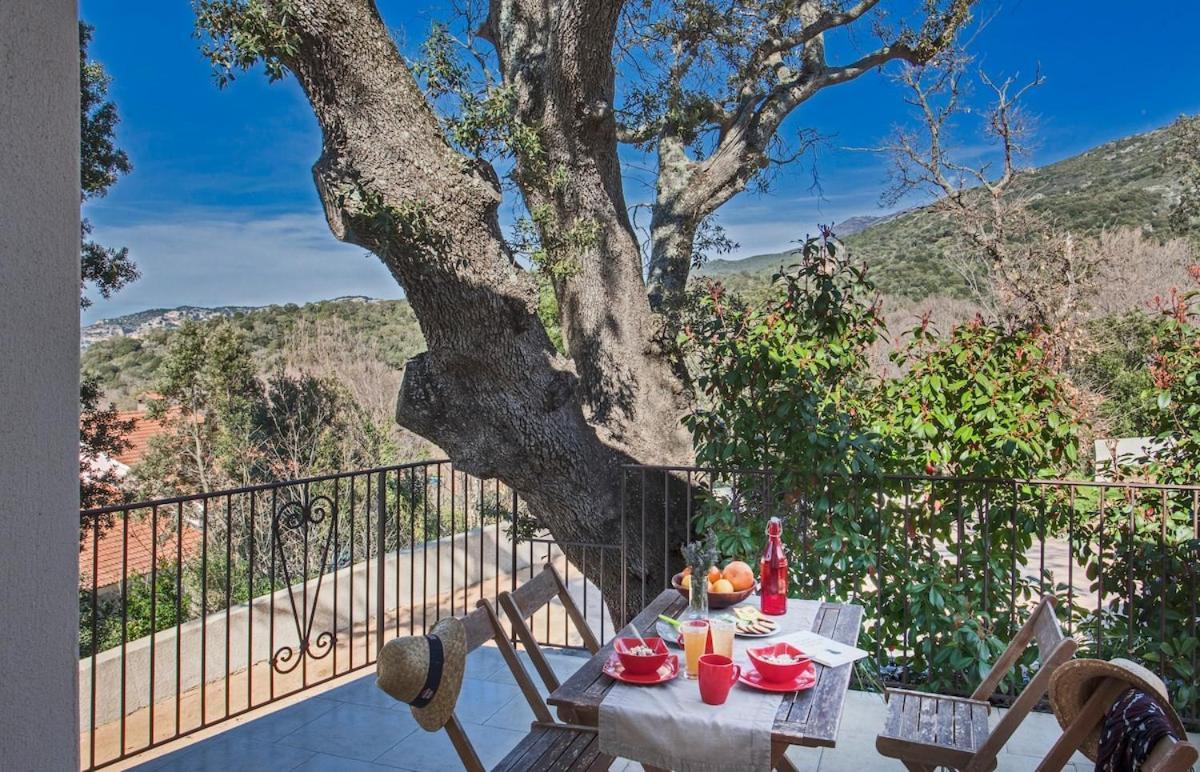 Domaine Ghjulia Διαμέρισμα Patrimonio Εξωτερικό φωτογραφία