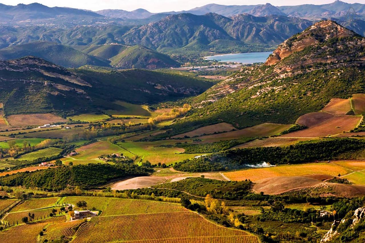 Domaine Ghjulia Διαμέρισμα Patrimonio Εξωτερικό φωτογραφία